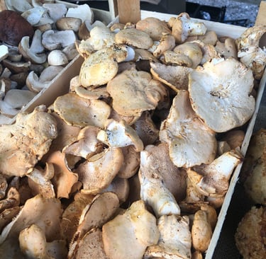 Beige mushrooms. Mmmmmm nice.