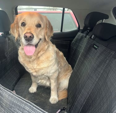 labai tvirtas užklotas