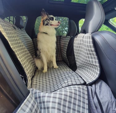 Sėdynių užtiesalai, čiužiniai šunims gera kaina internetu