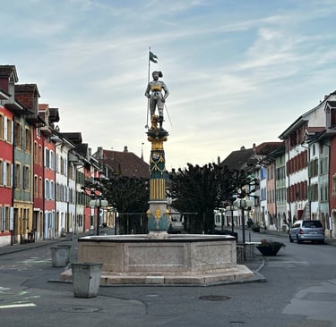 Le Landeron traitement de charpente et traitement des insectes du bois en Suisse