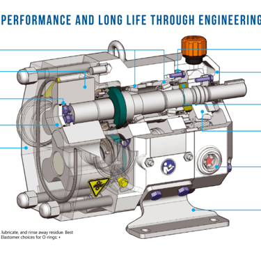Cross-section diagram of a heavy-duty industrial rotary lobe pump showing engineered internal components.