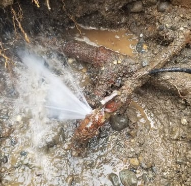  تسربات مياه بالحوش