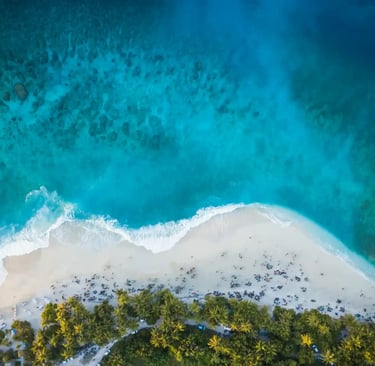 digital nomads paradise in Brazil