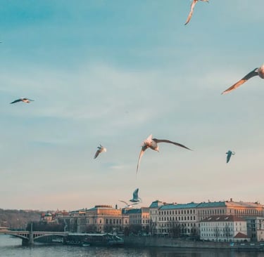 cafes to work from in prague