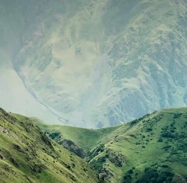 digital nomads community Batumi