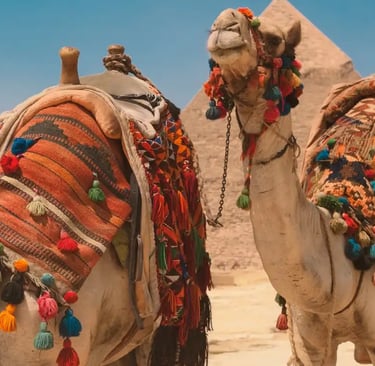 digital nomad activities cairo