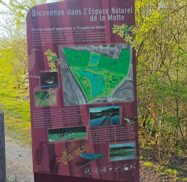 Espace naturel de la motte