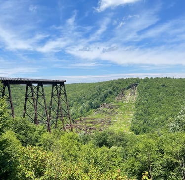 Kinzua Park