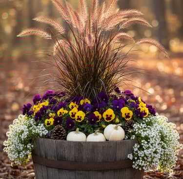Autumn barrel planter with purple pansies, white pumpkins, and ornamental grass in a sunny forest.
