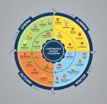 A circular continuous bloom calendar guide showing seasonal flowers for spring, summer, autumn, and winter gardens.