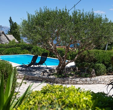 Private pool surrounded by olive trees in the beautiful Mediterranean setting of Villa Nika in Škrip