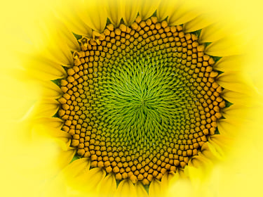 streso valdymo programa