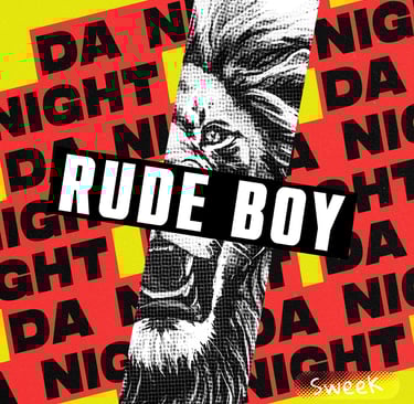 a cover of a Da Night - Rude Boy