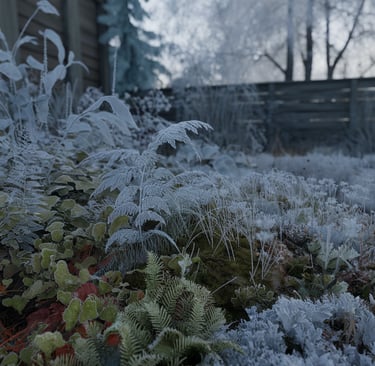 frosty garden