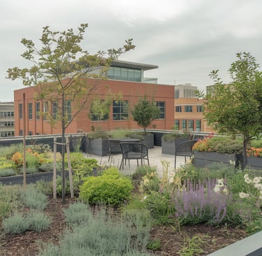 Rooftop Garden