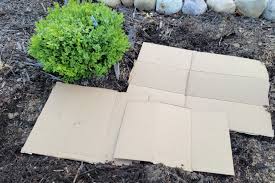Cardboard weed fabric