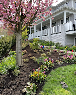 Garden Bed