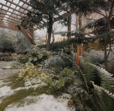 Frost dew plants