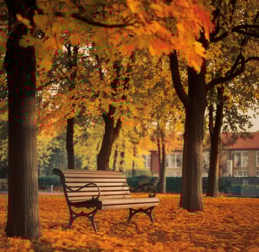 Fall Landscape