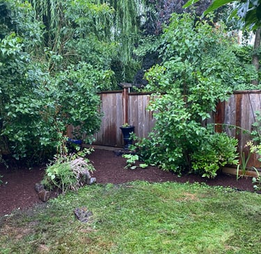 mulched garden bed