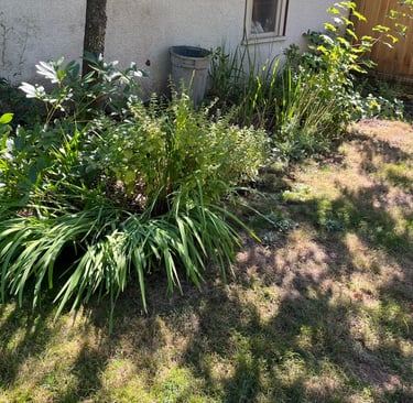 Ugly flower bed
