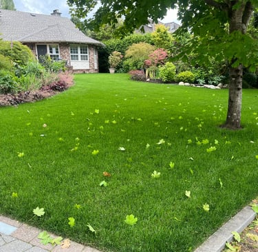 Alt Angle Front Yard Sod