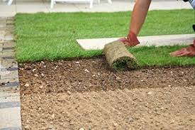 sod roll