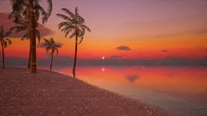 Summer with palm trees