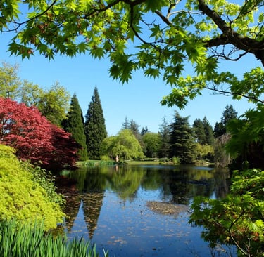 Vandusen gardens shaughnessey