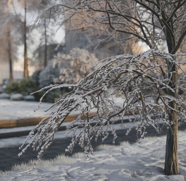 snowy branch closeup