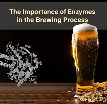 Importance of Enzymes in the Brewing Process