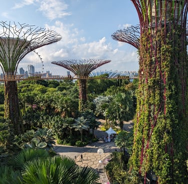 Gardens by the bay