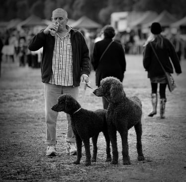Man taking a drink whilst holding 2 black poodles