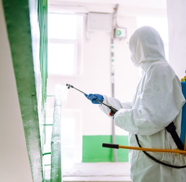 Disinfestazione in sardegna