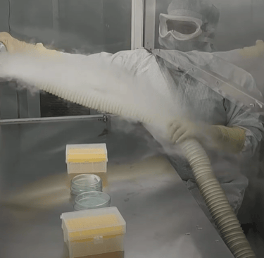 laminar flow hood smoke test