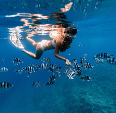 snorkelinimas