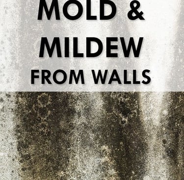 a mold mold mold mold mold mold mold mold mold mold mold mold mold mold mold