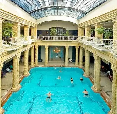 a large indoor swimming pool with a skylight