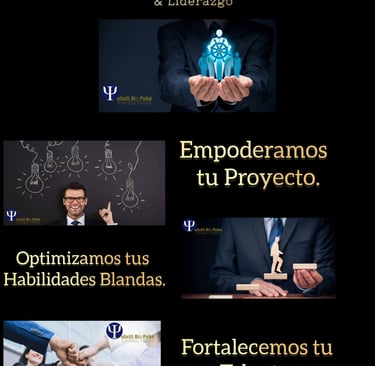 Sugerencia de Capacitaciones y training para el talento de la Organización.