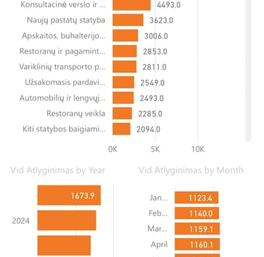 Power BI telefone, Atvirieji duomenys Jūsų kišenėje, antras puslapis