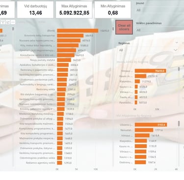 Power BI kompiuteryje, Atvirieji duomenys Jūsų kišenėje, antras puslapis