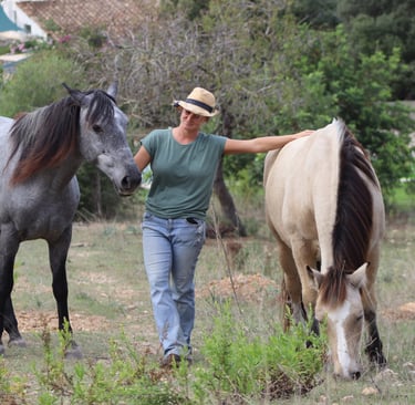 Pferd bewegt sich frei und entspannt auf der Koppel von MonTanja