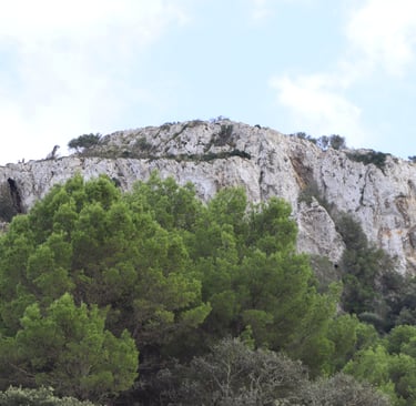 Pferdeausbildung in natürlicher Umgebung unterhalb des Na Penyal