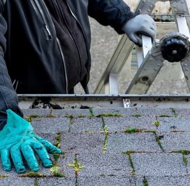 nettoyage gouttière novabois traitement