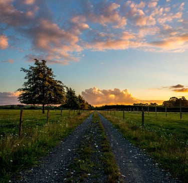 sunlit rural road through rolling green hills under open skies, photographed in silence