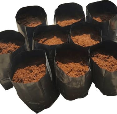 Cocopeat dalam polibeg