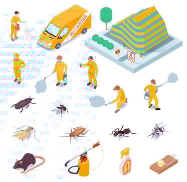 Pest Control Service near me