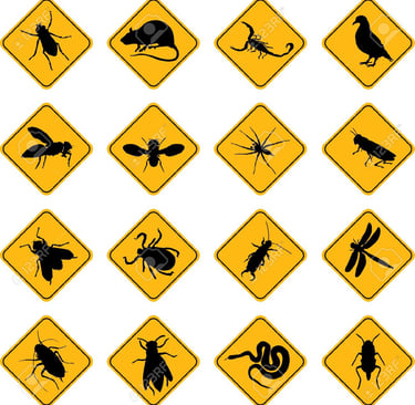 General pest control Ahmedabad