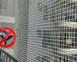 bird netting service in Ahmedabad, anti bird net, pigeon netting service