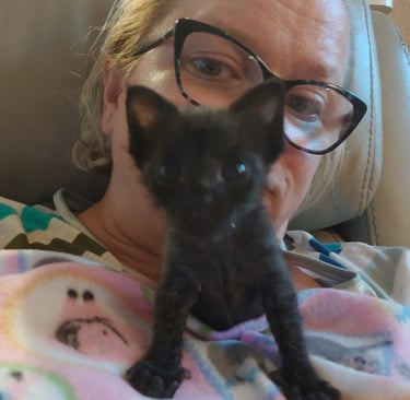 Baby bean at just a few weeks old in 2023
